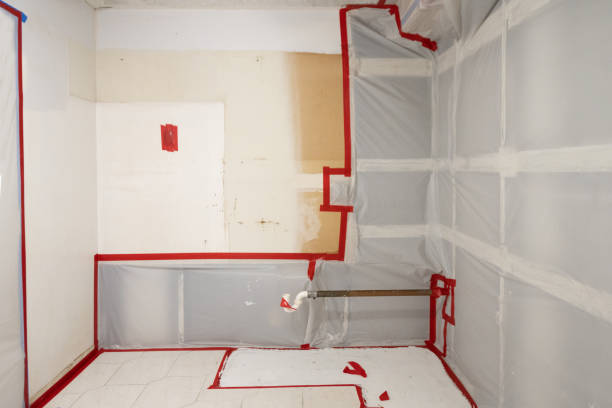 Mold Remediation for Rental Properties in Ephraim, UT